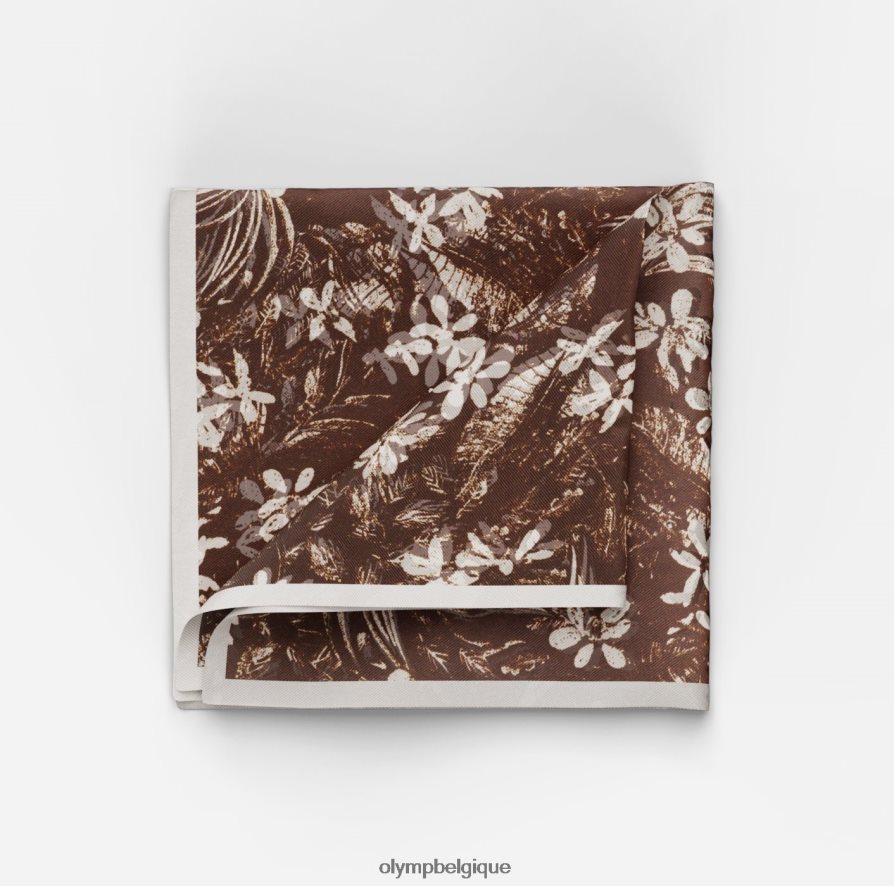 OLYMP FL8P6V2572 accessoires pochette de costume 30x30 cm, marron