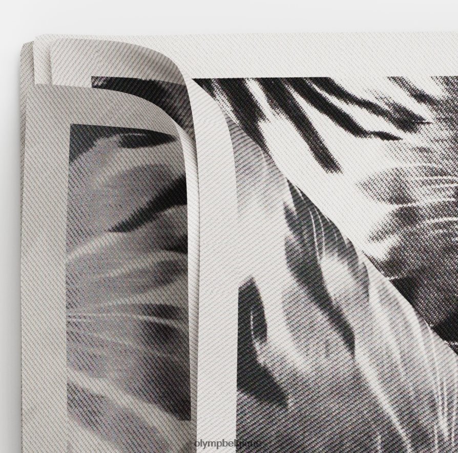 OLYMP FL8P6V2583 accessoires pochette de costume 30x30 cm, noir